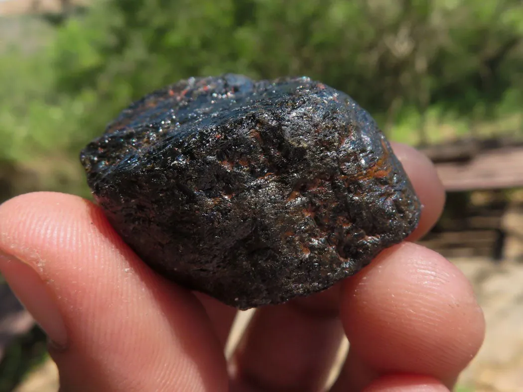 Natural Black Tourmaline Schorl Pieces  x 23 From Zambia