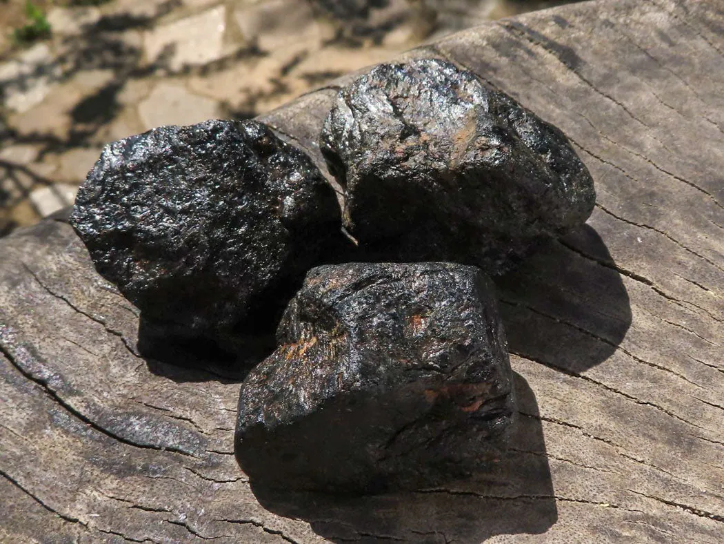 Natural Black Tourmaline Schorl Pieces  x 23 From Zambia