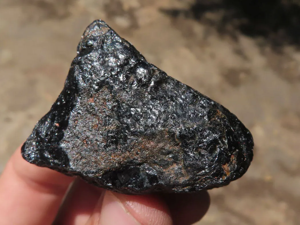 Natural Black Tourmaline Schorl Pieces  x 23 From Zambia