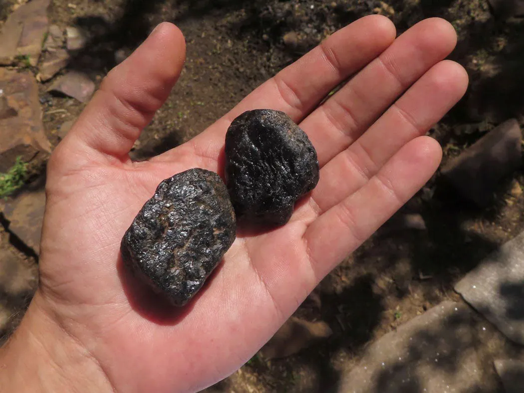 Natural Black Tourmaline Schorl Pieces  x 35 From Zambia