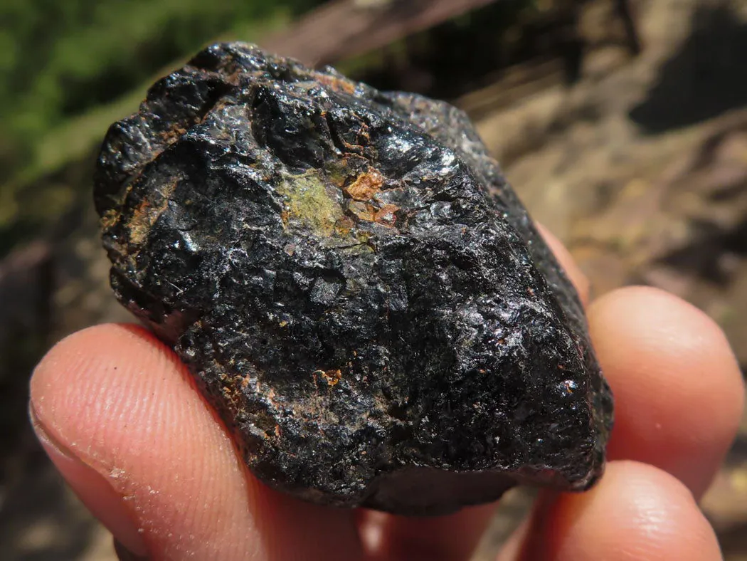 Natural Black Tourmaline Schorl Pieces  x 35 From Zambia