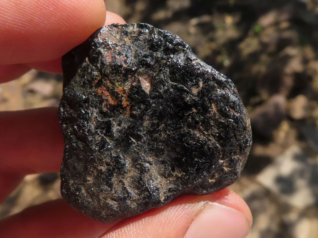 Natural Black Tourmaline Schorl Pieces  x 35 From Zambia