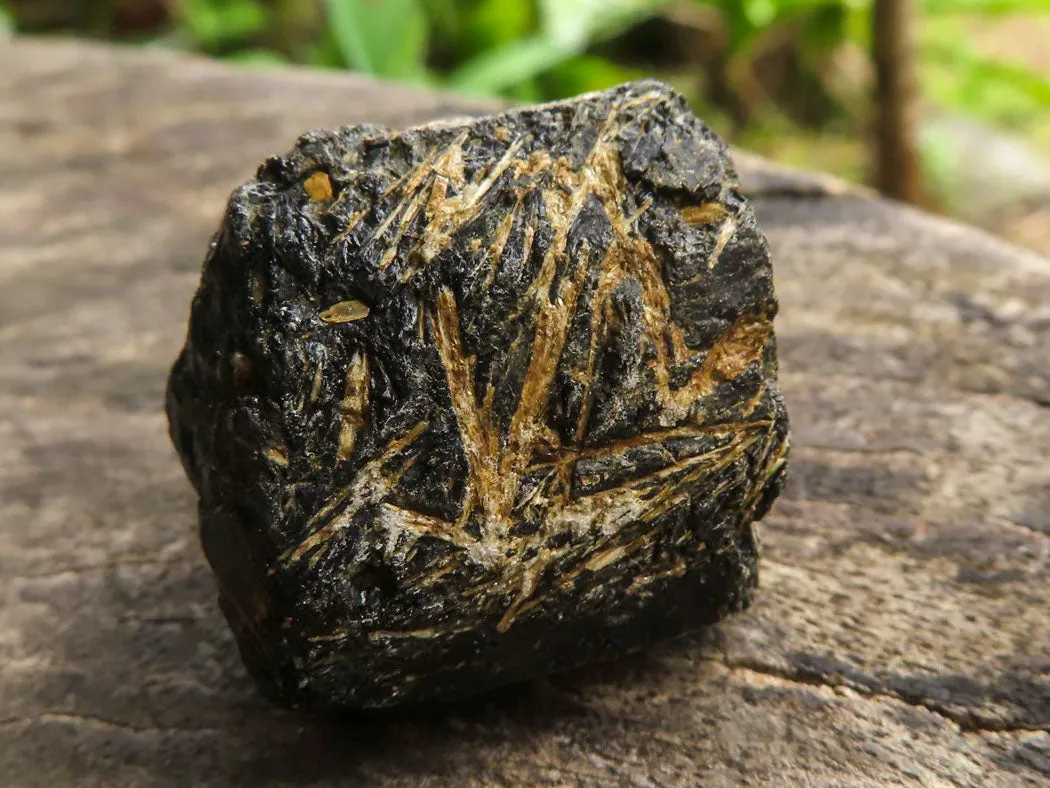 Natural Rough Schorl Black Tourmaline Crystals x 2 Kg Lot From Zambia