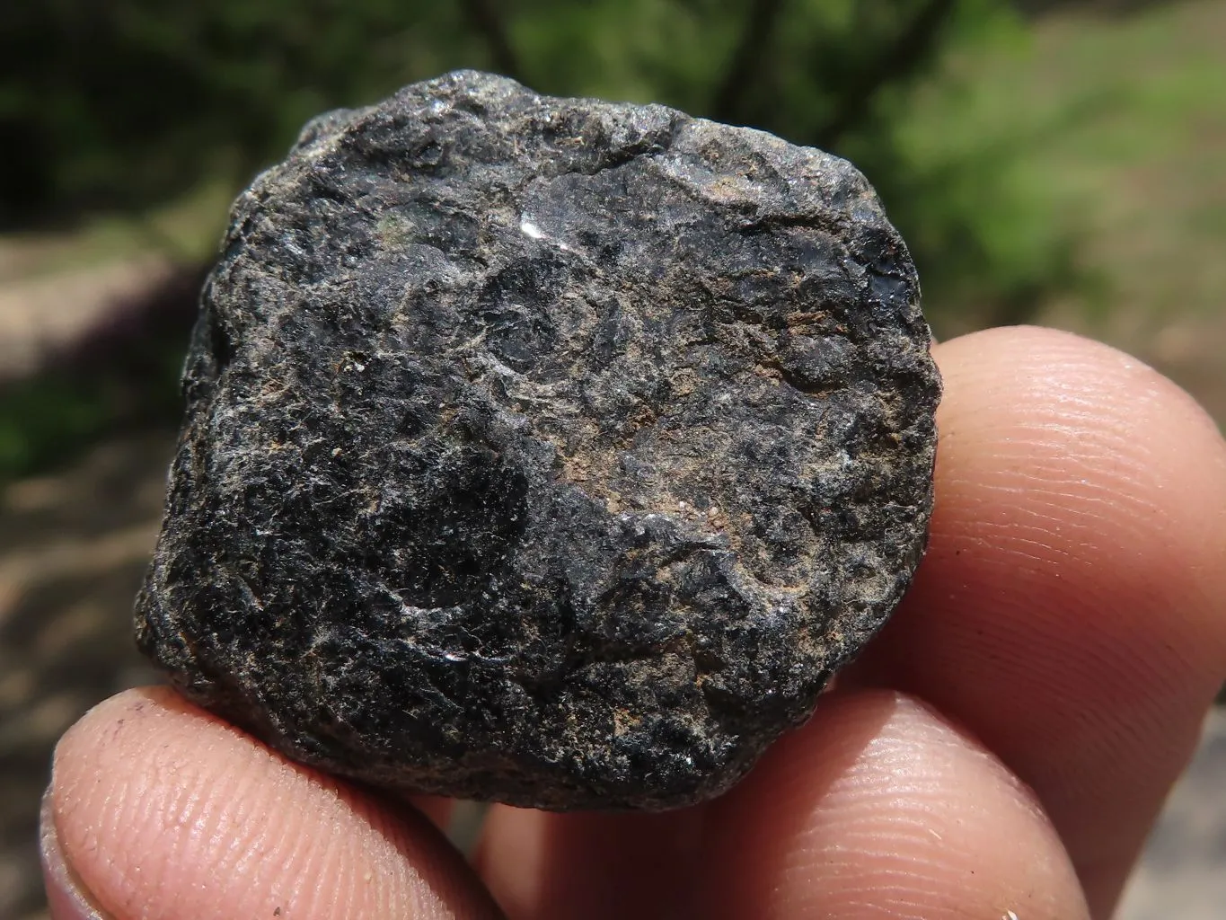 Natural Schorl Black Tourmaline Crystals x 1.9 Kg Lot From Zambia