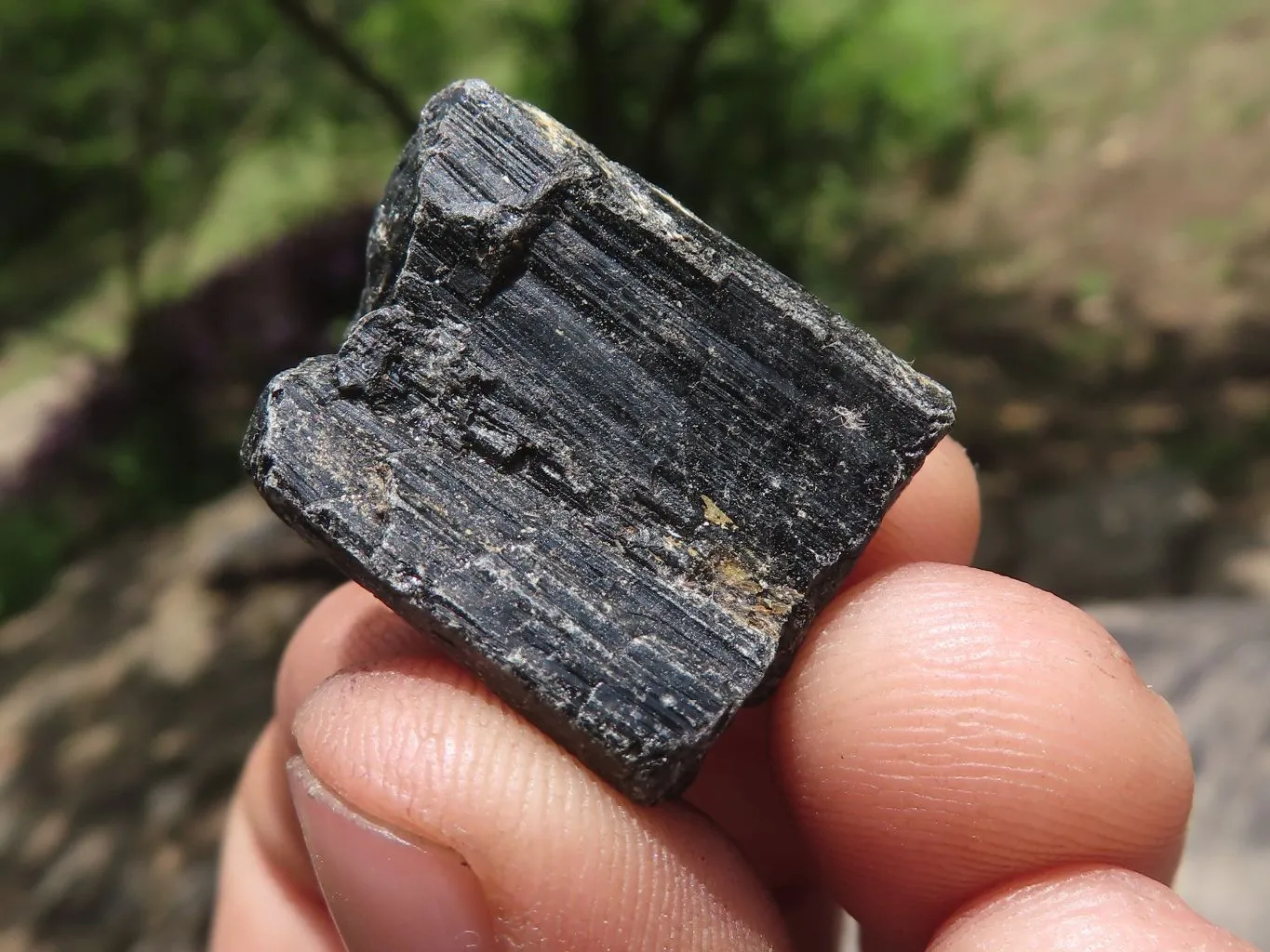 Natural Schorl Black Tourmaline Crystals x 1.9 Kg Lot From Zambia